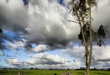 动作射击小游戏大全破解版，动作射击游戏推荐